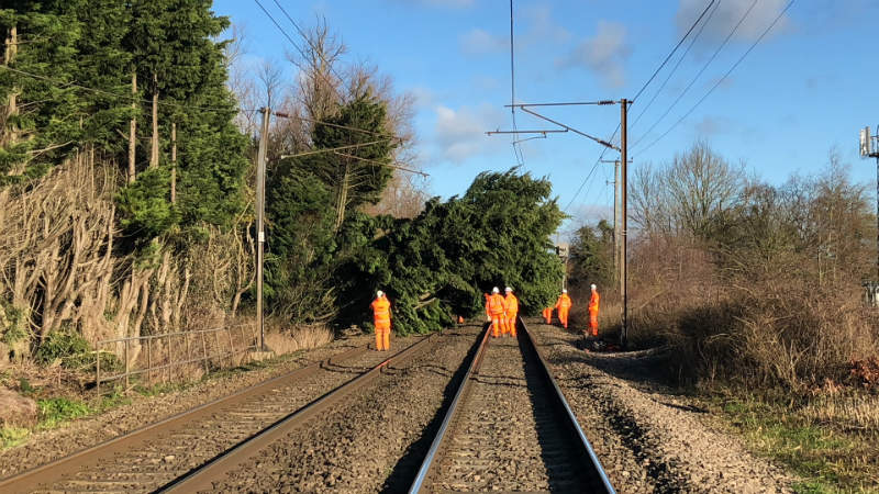 Environmental Surveying